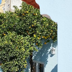 Proa D'Alfama Guest House
